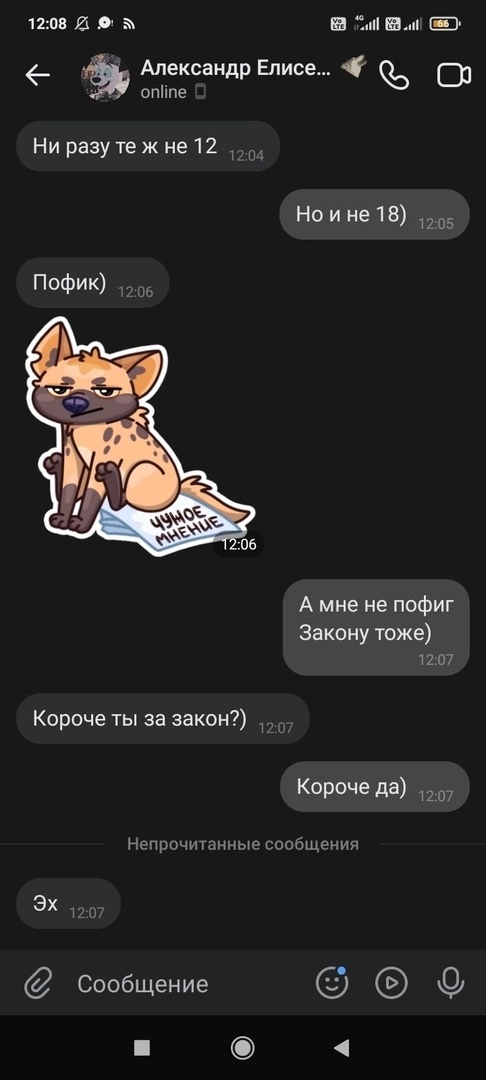 📋 Переписка (продолжение, 12:08): «Ни разу те ж не 12»; «Но и не 18)»; «Пофик)»; стикер гиены «ЧУЖОЕ МНЕНИЕ»; «А мне не пофиг. Закону тоже)»; «Короче ты за закон?)»; «Короче да)»; «Эх».