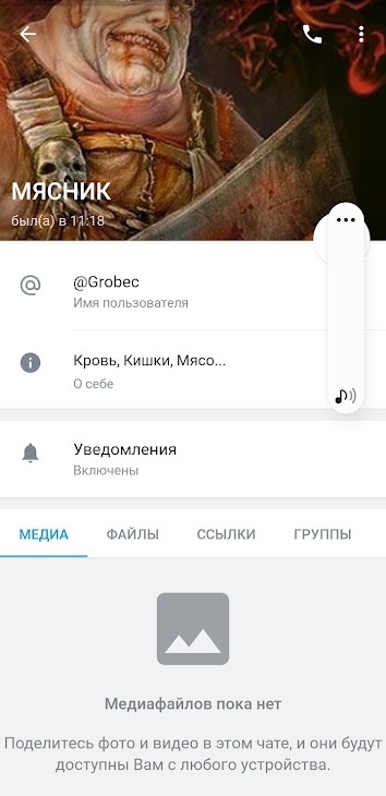 📋 Telegram, профиль МЯСНИК (@Grobec): «Кровь, Кишки, Мясо...», был(а) в 11:18; аватар — фэнтезийный персонаж-мясник.