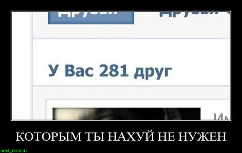 Демотиватор: скриншот страницы ВКонтакте с надписью «У Вас 281 друг» и нецензурная саркастическая подпись о том, что виртуальные друзья не нужны; сайт best_dem.ru