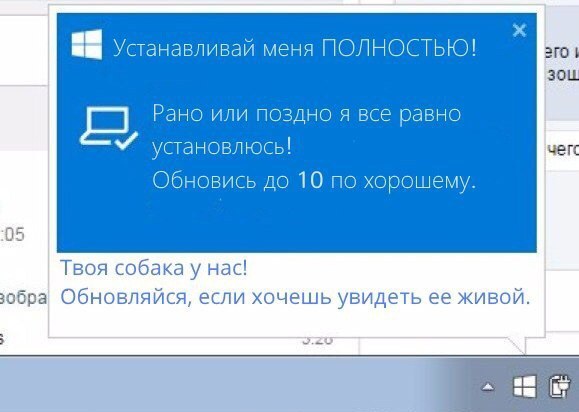 Скриншот мема: поддельное уведомление Windows в синем стиле Windows 10 — заголовок «Устанавливай меня ПОЛНОСТЬЮ!»; текст «Рано или поздно я все равно установлюсь! Обновись до 10 по хорошему.»; снизу синим курсивом «Твоя собака у нас! Обновляйся, если хочешь увидеть ее живой.»