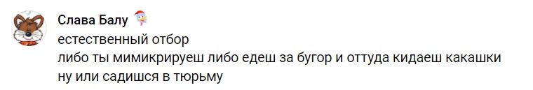 📋 ВКонтакте, комментарий «Слава Балу» 🦌 (аватар: олень): «естественный отбор / либо ты мимикрируешь либо едеш за бугор».