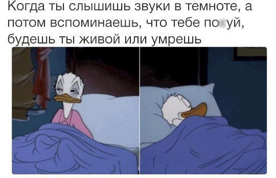 Мем: вверху текст «Когда ты слышишь звуки в темноте, а потом вспоминаешь, что тебе по[х]уй, будешь ты живой или умрешь»; внизу два кадра с Дональдом Даком в кровати под синим одеялом — левый: встревожен (приподнялся); правый: спокойно засыпает снова