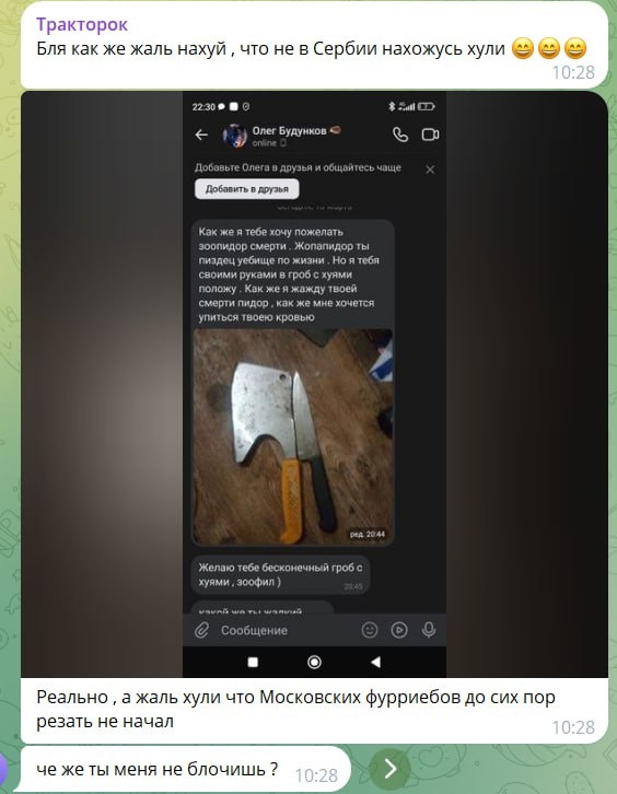 📋 Telegram «Тракторок» (10:28): «Бля как же жаль нахуй, что не в Сербии нахожусь хули 😀😀😀»; скриншот ВКонтакте с угрозами убийством от «Олег Будунков 🎤»: «Как же я жажду твоей смерти... хочется упиться твоею кровью»; «Желаю тебе бесконечный гроб с хуями, зоофил )»; «Реально, а жаль хули что Московских фурриебов до сих пор резать не начал».