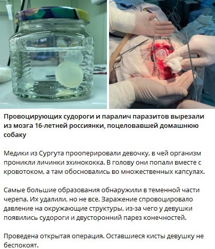 📋 Скриншот сайта продажи лунных участков: страница с описанием 1 акра на Луне, цены и условия покупки.