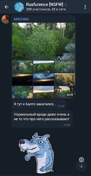 📋 Telegram «Rusfurence [NSFW]» (209 участников, 35 онлайн): МЯСНИК публикует сетку из 9 природных фото (20:59); «Я тут к Балто закатился...» (21:00); «Нормальный вроде даже очень а не то что про него рассказывают» (21:00); стикер плачущего волка (21:01).