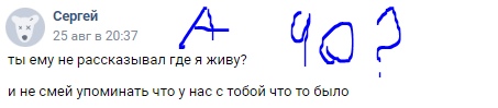 📋 ВКонтакте профиль «Генн Седогрив» (аватарка монстра/волка, обложка — неоновый город), кнопка «Добавить в друзья»; «Общие друзья 101» — Alex, Pix и 99 общих; «Друзья 238» — Борис, Сандра, Течка, Олег; «Подписки 62» — «РУССКАЯ ВЕСНА (rusvesna.su)», «Сводки СВО», «Deep Sky | Космос & Астрономия»; галерея из 6 фото.