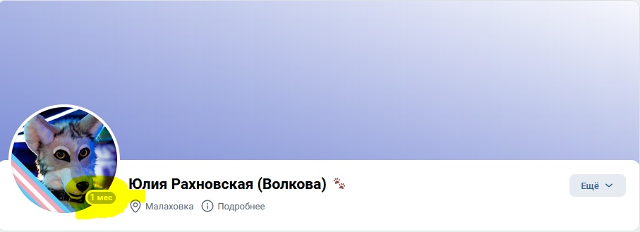 📋 ВКонтакте профиль «Юлия Рахновская (Волкова)»: аватар — рисунок серо-голубого волка в жёлтом ошейнике с иконкой транс-флага; местоположение Малаховка.