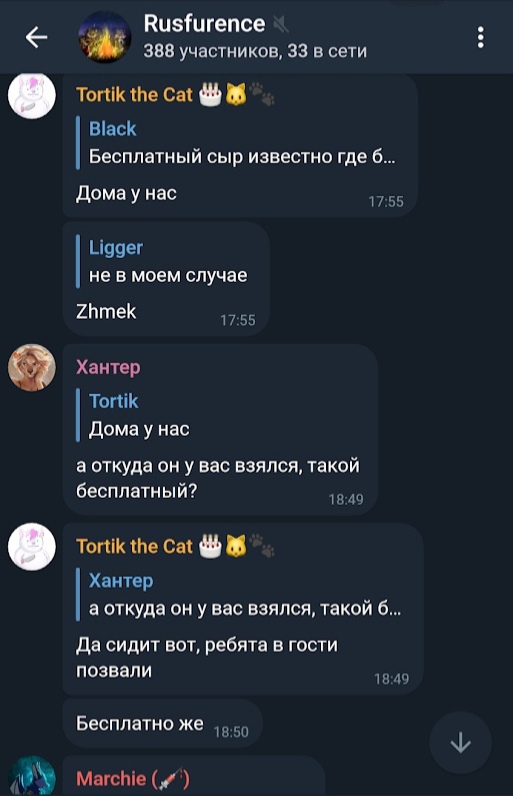 📋 ВКонтакте, чат «Rusfurence» (388 участников, 33 в чате), 17:55–18:49: Tortik the Cat, Black, Ligger, Zhmek, Hanter — «где найти бесплатный сыр».