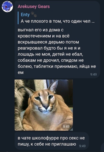 📋 Telegram, Enty: «выгнал его из дома с кровотечением... в чате школофурре про секс не пишу, к себе не приглашаю»